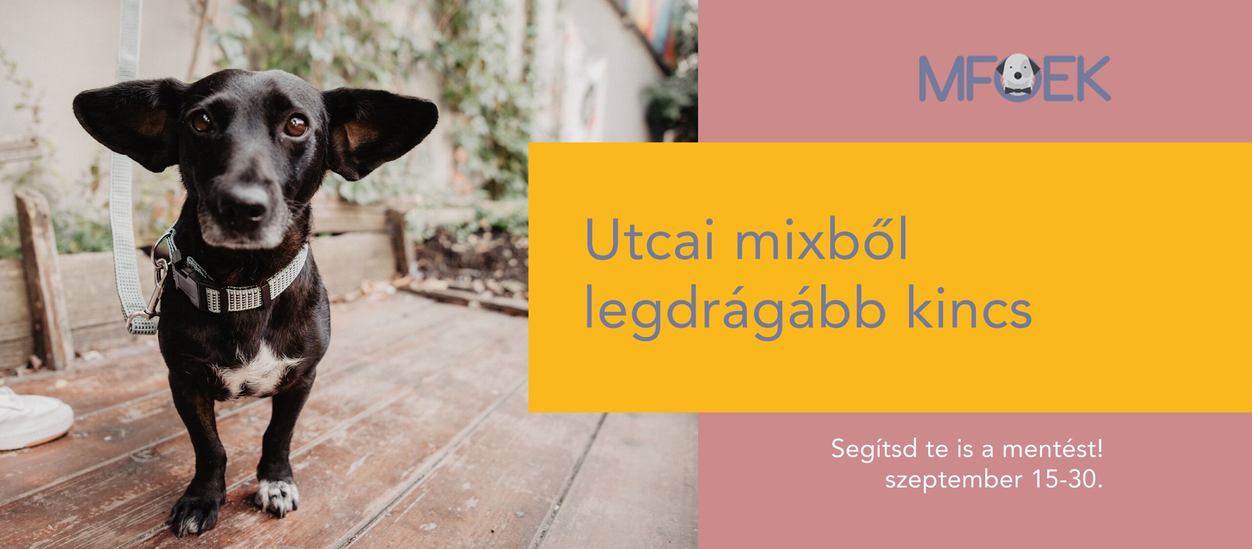 „Utcai mixből legdrágább kincs”