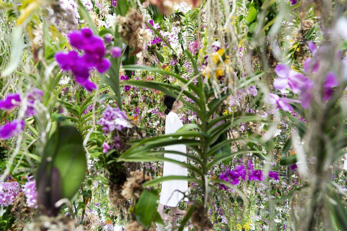 orchidea teamLab Planets