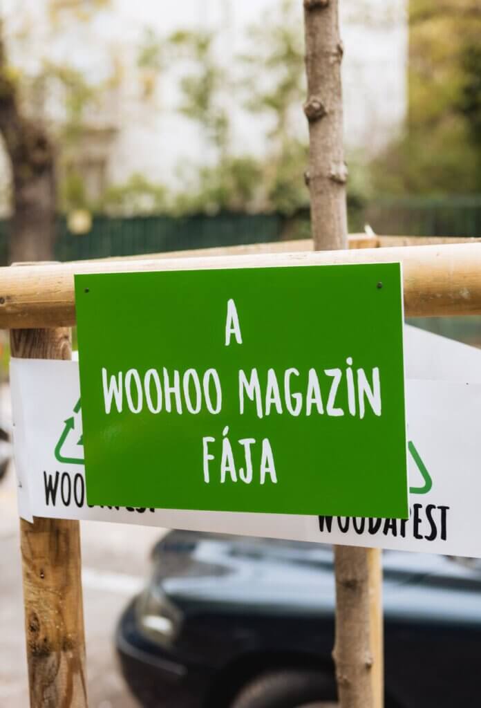 A Woohoo magazin fája Budapesten az Elek utcában. Fotó: Magyar Sára.