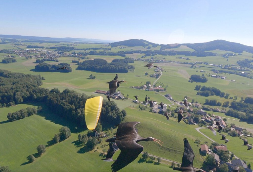 Európa a magasból Alpok Nat Geo